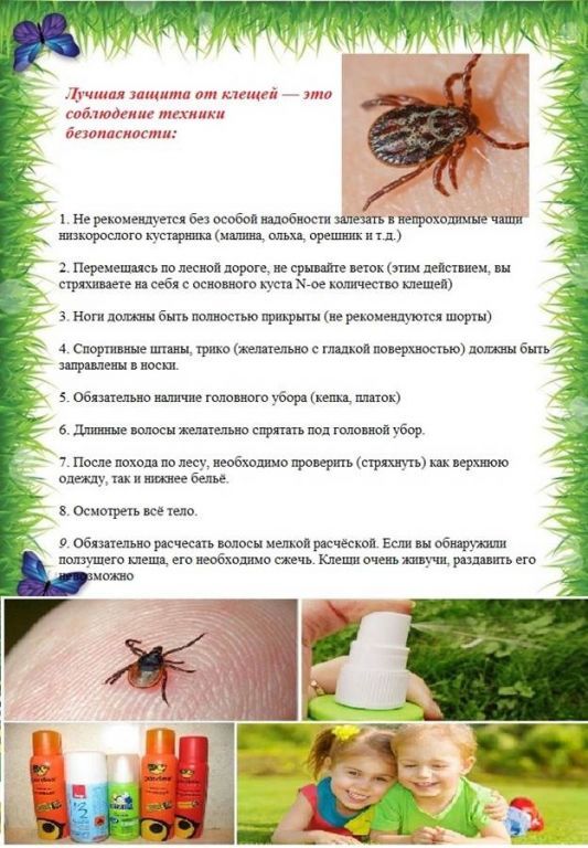 65e4aa03656cdace9c4ac346db822010.jpg